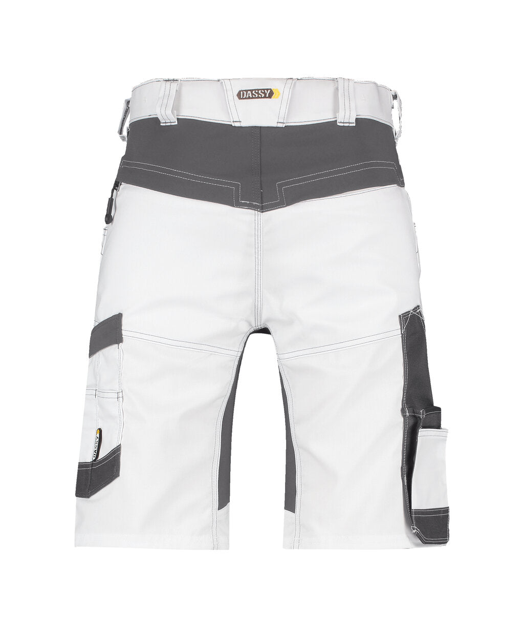 Schildersshort Axis Painters