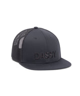 Flat brim pet Hebe