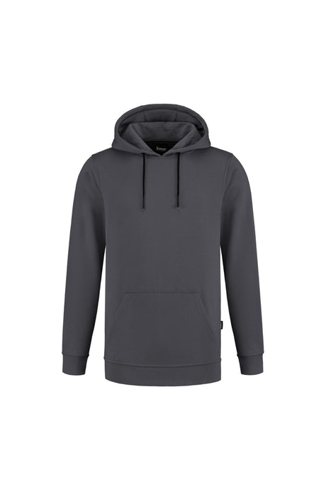 Hooded sweater Shaddy - Grijs